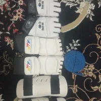 ورزشی . تکواندو