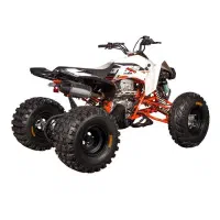 کایو ۳۰۰ دنده ای