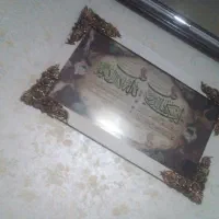 سالم|گل مصنوعی|تربت‌حیدریه, مظفریه|دیوار