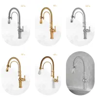 شیر شاوری ظرفشویی فنری در رنگبندی