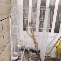 قفس بزرگ و زیبا