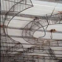 راویز کاری جنوب