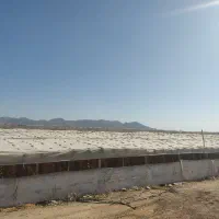 گلخانه چوبی|عمدهفروشی|زیباشهر, |دیوار