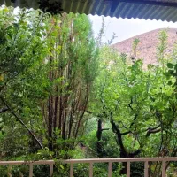 ۳۰۰۰ متر  تجاری ویلایی در فیروزکوه جاده ارجمند|فروش دفتر صنعتی، کشاورزی، تجاری|تهران, کیانشهر|دیوار