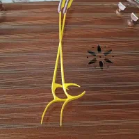 اموزش سنتور به بانوان مربی بانو.