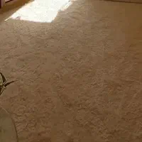 فرش شگی ۶متری کرم نباتی