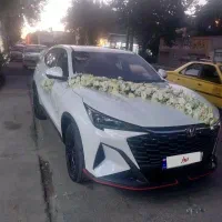 اجاره  خودرو لوکس  واسان