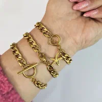 بدلیجات استیل رنگ ثابت