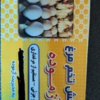 تخم مرغ روز