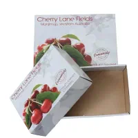 کارتن سازی جعبه سازی کارتن زغال رکورد،پسته،انار|خدمات پیشه و مهارت|ملارد, |دیوار