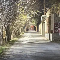 استخدام مدیر داخلی