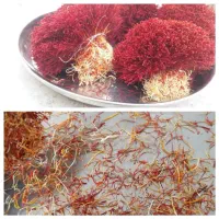 نرمه زعفران