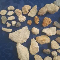 استخوان و فسیل دایناسور|کلکسیون اشیاء عتیقه|تهران, پونک|دیوار