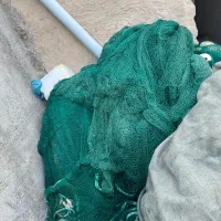 تورغلایه|ماهیگیری|بندرلنگه, |دیوار