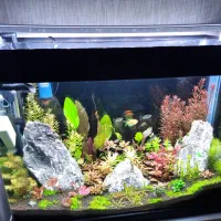 فروش اکواریوم . نور سوبو