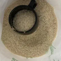 برنج طارم هاشمی|خوردنی و آشامیدنی|قائمشهر, |دیوار