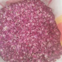 پر گل محمدی تمیز  خالص