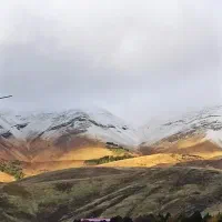 زمین دو کله حسن آباد روانسر