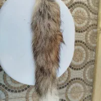 چشم نظر|بدلیجات|ساوه, |دیوار