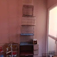 قفس پرنده کوچیک و متوسط|لوازم جانبی حیوانات|سهند, |دیوار