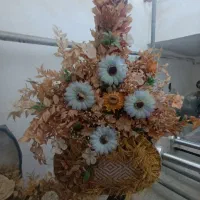 گل های زیبا گلدان بزرگ