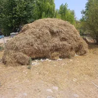 پرس بازشد  برای  حیوانات