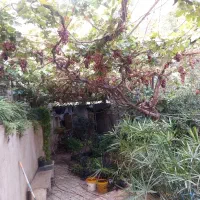 300-متر-سندار-همایون-ویلا