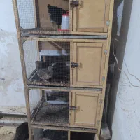 قفس ۵۰در۷۰سانت ۴طبقه مناسب پرندگان