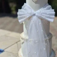 ماکت کیک زیبا