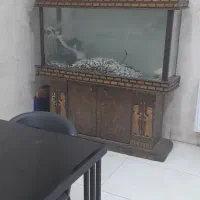 آکواریوم با وسایل