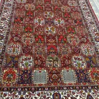 قالی دستباف طرح چالشتر|فرش|خمینی‌شهر, |دیوار