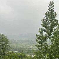 اجاره ی روزانه ی ویلا در سوادکوه،شیرگاه، لفور