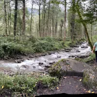 استخدام باغبان و کشاورز