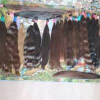 خریدار موهای بلند شما