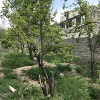 باغچه ۱۵ کیلومتری غرب تهران، سند تک برگ، ۷۳۰ متر|فروش زمین و ملک کلنگی|کرج, کلاک نو|دیوار