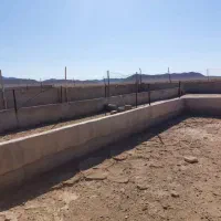 فروش مزرعه پروش شترمرغ مولد|فروش دفتر صنعتی، کشاورزی، تجاری|خور (اصفهان), |دیوار