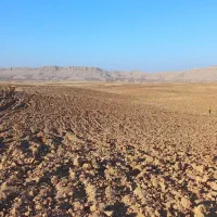 اجاره زمین کشاورزی