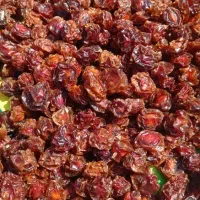 فروش آلو خشک درجه یک|خوردنی و آشامیدنی|شیراز, کوشک میدان|دیوار