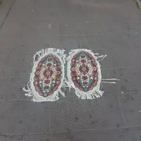 بیضی(کرم گلبهی)