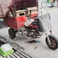 سه چرخ|دوچرخه، اسکیت، اسکوتر|نیشابور, دارایی|دیوار
