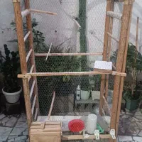 قفس پرنده یک میلیون