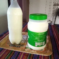 شیر محلی کیلوی 38 تومن دوغ محلی لاکی 25|خوردنی و آشامیدنی|گلوگاه بابل (گلیا), |دیوار