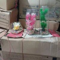 تنگ ماهی|ماهی|محمدشهر, یزدیها|دیوار