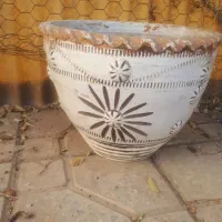 گلدان پلاستیکی وسفالی|گل و گیاه طبیعی|شاهین‌شهر, فردوسی|دیوار