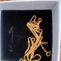 فروش مقداری طلا|جواهرات|مرودشت, تامین اجتماعی‎|دیوار