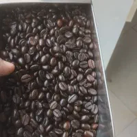 اسپرسو ۱۰۰ درصد روبوستا