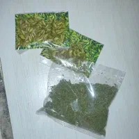 نعنا خشک و خلال پسته و سبزی خشک قورمه سبزی
