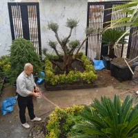 خدمات باغبانی گلکاری و باغچه آرایی