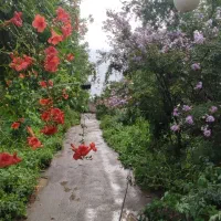 زمین با بنا و قابلیت ساخت و جواز (قابل تفکیک)|فروش زمین و ملک کلنگی|هشتگرد, ینگی امام|دیوار