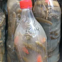 خیارشور یک ونیم لیتری تردوخوشمزه